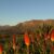 Mountainbike Südafrika - Bike Ferien im Gästehaus 4-Heaven. Erlebe die Schönheit der Natur, flowige Trails wie am Cape Epic und Esskultur auf Top Niveau.