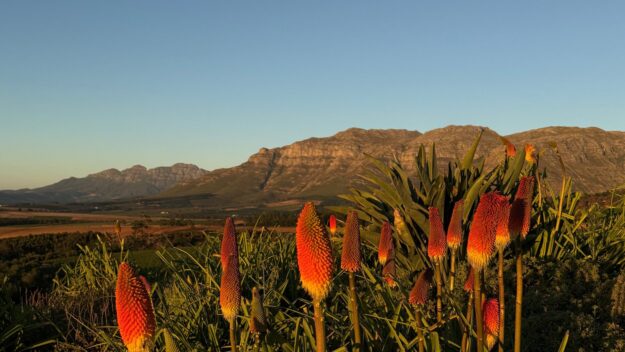 Mountainbike Südafrika - Bike Ferien im Gästehaus 4-Heaven. Erlebe die Schönheit der Natur, flowige Trails wie am Cape Epic und Esskultur auf Top Niveau.